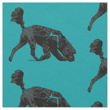 ポルトガルの水犬 – 追跡/香りターコイス3X4