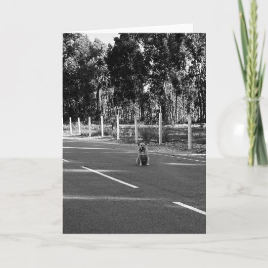 ポルトガルの犬のグレースケール空白の ノートカード (正面)