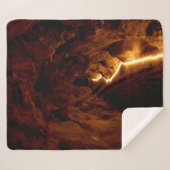 ポルトガルの秘密トンネル シェルパブランケット (正面(横))