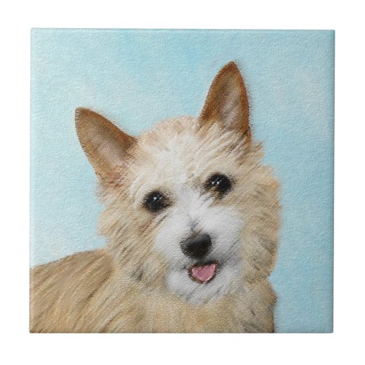 ポルトガルポデン絵画ゴペケノズオリジナルアート タイル (正面)