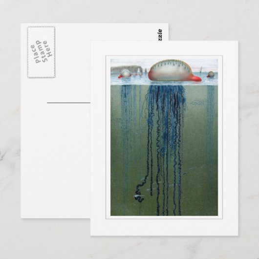 ポルトガル戦争 ポストカード (正面/裏面)