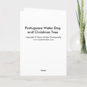 ポルトガル水犬およびクリスマスツリー シーズンカード (裏面)