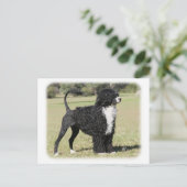 ポルトガル水犬9Y510D-145 ポストカード (スタンド正面)