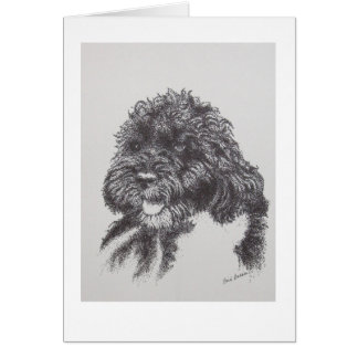 ポルトガル水犬Boオバマ