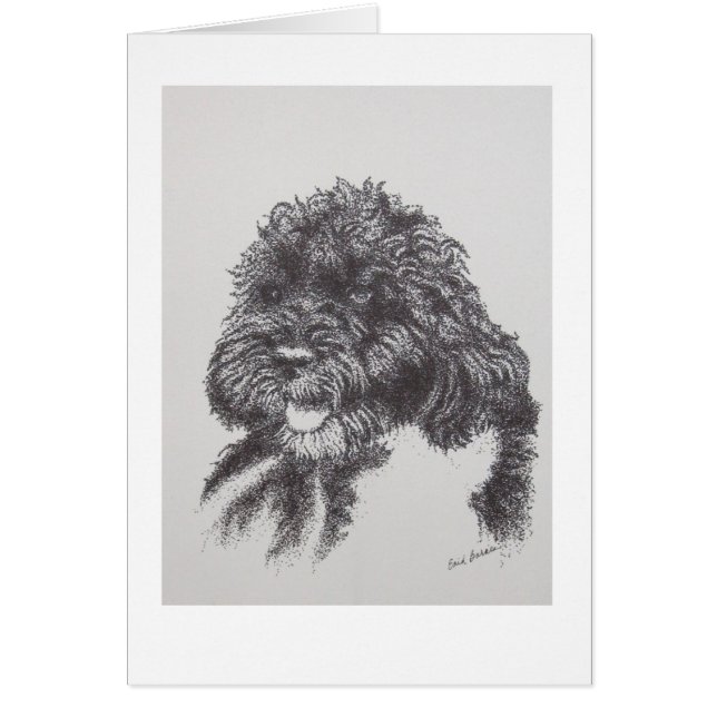 ポルトガル水犬Boオバマ (正面)