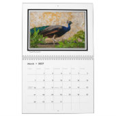 ポルトガル画像 カレンダー (3月 2027)