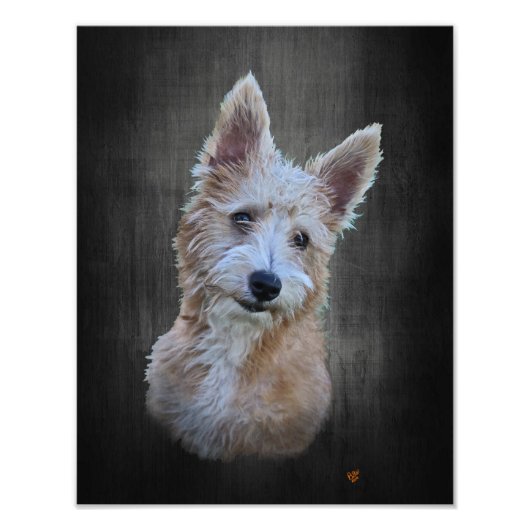 ポルトガル語ポデゴペケノ フォトプリント            (正面)