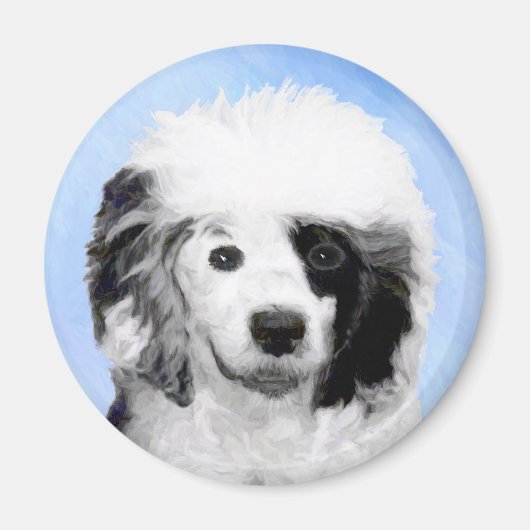 ポルトガル語絵画ウォータードッグ – Dog Art マグネット (正面)