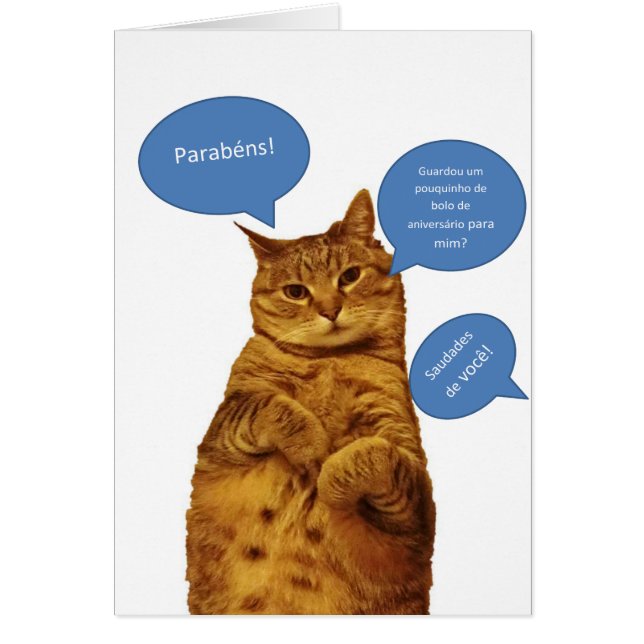 ポルトガル語: Aniversario - Gato (正面)