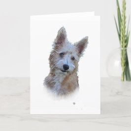 ポルトガル語Podengo カード