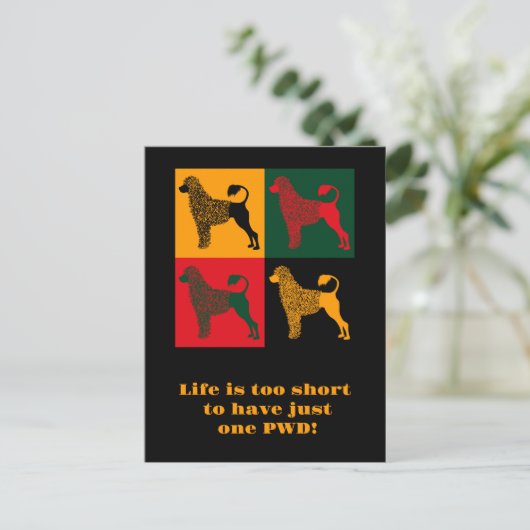 ポルトガル頭が切れるの水犬 ポストカード (スタンド正面)