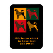 ポルトガル頭が切れるの水犬 マグネット (縦)