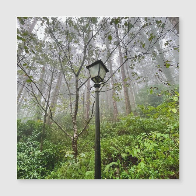 ポルトガル風 (正面)