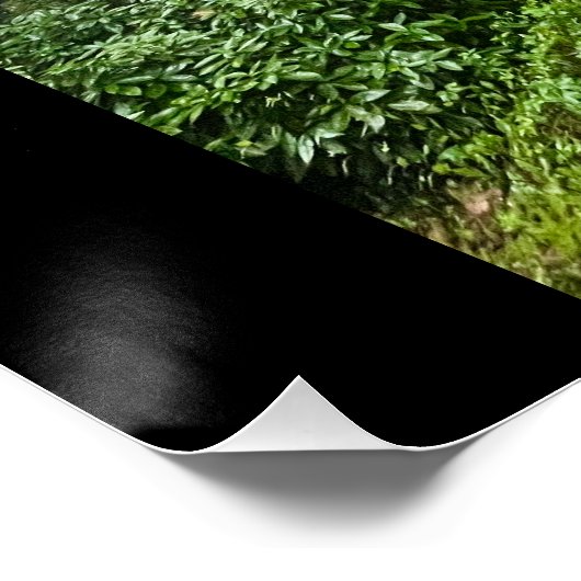 ポルトガル風 ポスター (コーナー)