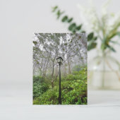 ポルトガル風 ポストカード (スタンド正面)