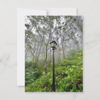 ポルトガル風 ポストカード