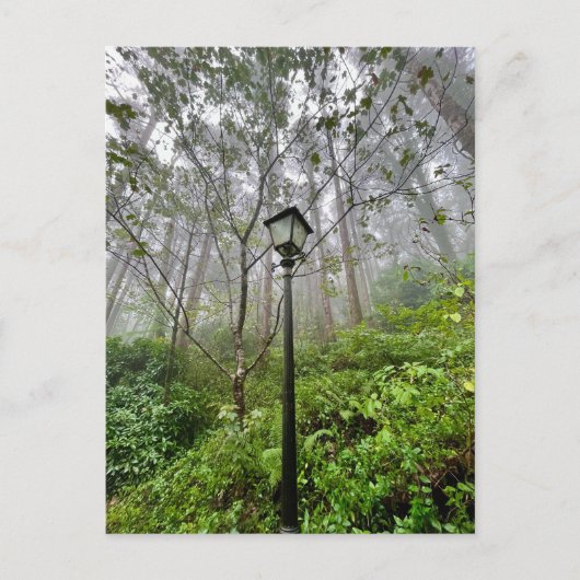 ポルトガル風 ポストカード (正面)