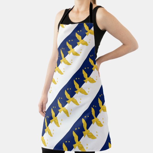 ポルトガル,アゾレス諸島 エプロン (インサイチュ)