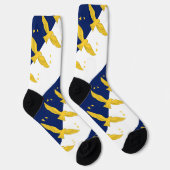 ポルトガル，アゾレス諸島 ソックス (右)