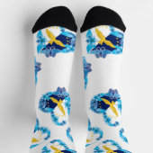 ポルトガル，アゾレス諸島 ソックス (上部)