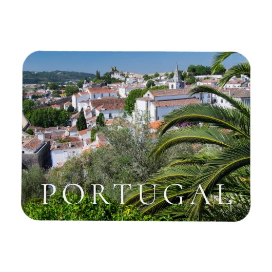ポルトガル，アヴェイロの街並み マグネット (横)