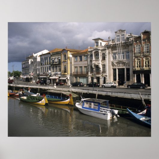 ポルトガル、アヴェイロ。もりめいろ ポスター (正面)