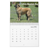 ポルトガル カレンダー (3月 2026)