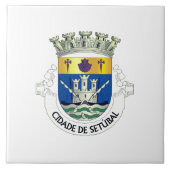 ポルトガル，セツバルのコート タイル (正面)