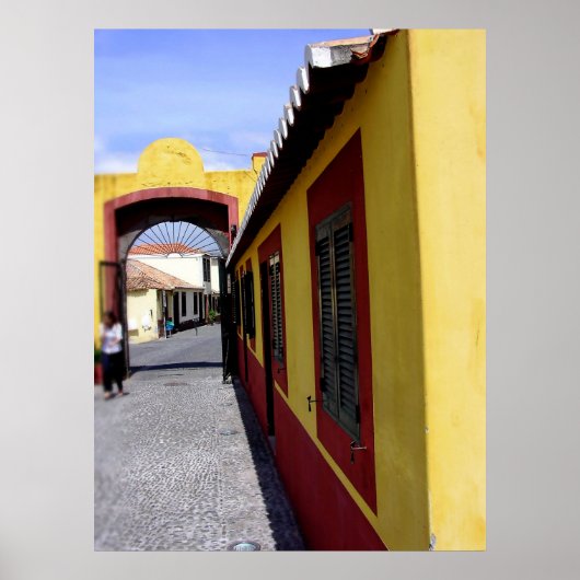 ポルトガル：ファンシャルポスターの色 ポスター (正面)