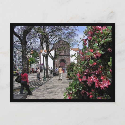 （ポルトガル）フンシャル、マデイラ葉書 ポストカード (正面)