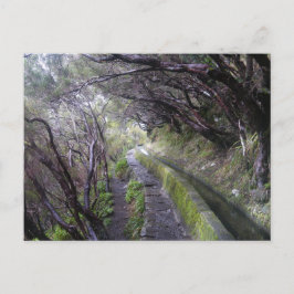 ポルトガル,マデイラのレバダ ポストカード