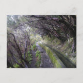 ポルトガル,マデイラのレバダ ポストカード (正面)