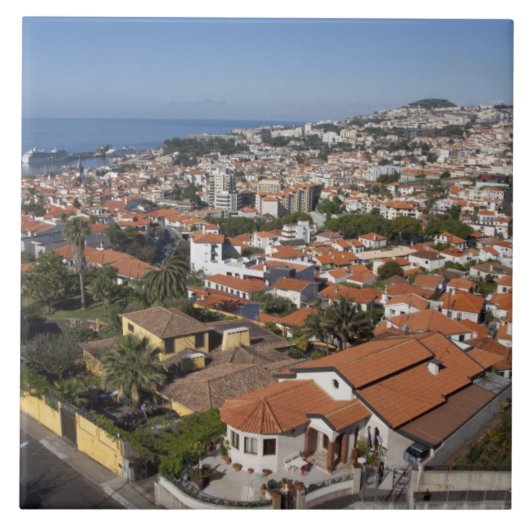 ポルトガル、マデイラ島、フンカル。ケーブルカー タイル (正面)