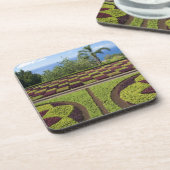 ポルトガル、マデイラ島、フンカル。植物学の コースター (左側)