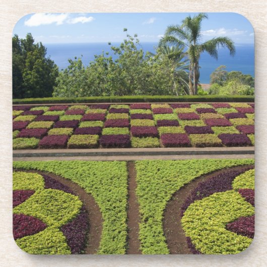 ポルトガル、マデイラ島、フンカル。植物学の コースター (正面)