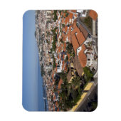 ポルトガル、マデイラ島、フンシャル。ケーブルカー マグネット (縦)