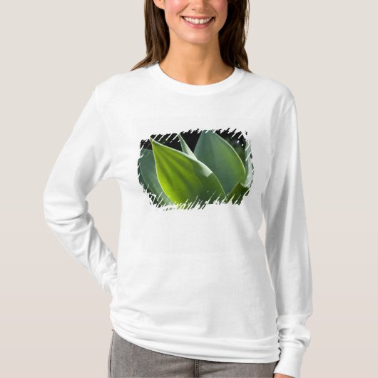 ポルトガル、マデイラ島、フンシャル。植物園 Tシャツ (正面)