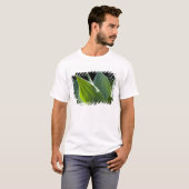 ポルトガル、マデイラ島、フンシャル。植物園 Tシャツ (正面フル)