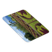 ポルトガル、マデイラ島、フンシャル。植物学の マグネット (右側)