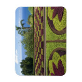 ポルトガル、マデイラ島、フンシャル。植物学の マグネット (縦)