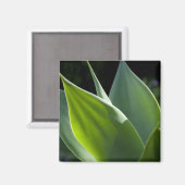 ポルトガル、マデイラ島、フンシャル。植物学の マグネット (正面/裏面)