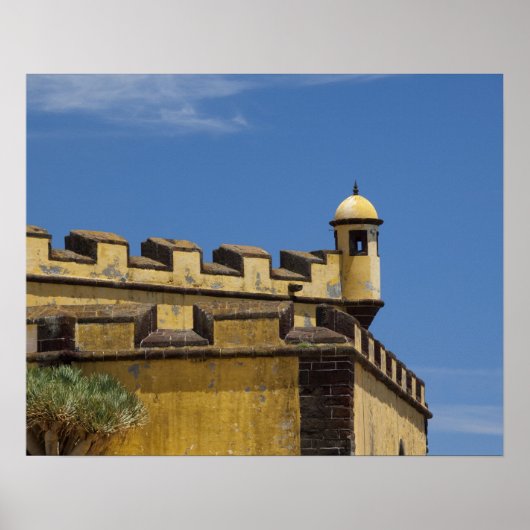 ポルトガル、マデイラ島、フンシャル。歴史的 ポスター (正面)