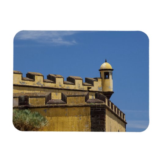 ポルトガル、マデイラ島、フンシャル。歴史的 マグネット (横)