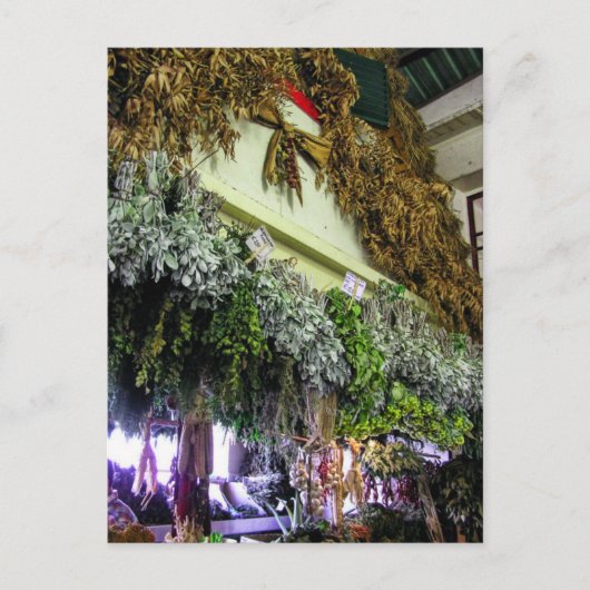 （ポルトガル） Funchal Marketはがき ポストカード (正面)