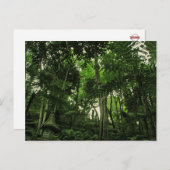 ポルトガルMadeira : Canopy of Lushness Postages ポストカード (正面/裏面)