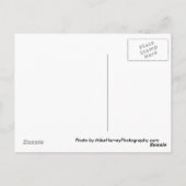 ポルトフィノイタリアストアフロント ポストカード (裏面)