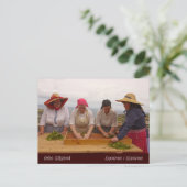 ポルトフォルモソ茶園 ポストカード (スタンド正面)