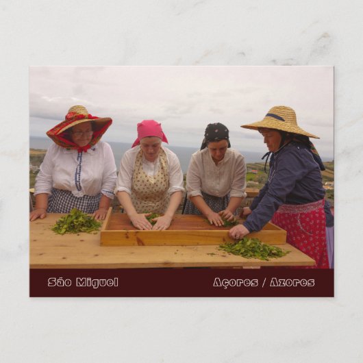 ポルトフォルモソ茶園 ポストカード (正面)