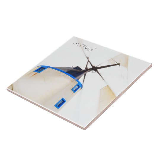 ポル実在ガル タイル (側面)