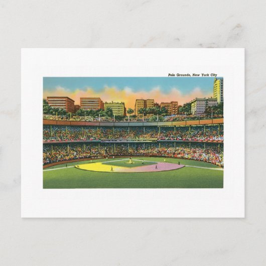 ポログラウンズ，ニューヨーク ポストカード (正面)